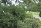 Greater Melbourneresidential-landscaping-35.jpg; ?>