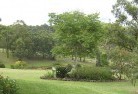 Greater Melbourneresidential-landscaping-40.jpg; ?>
